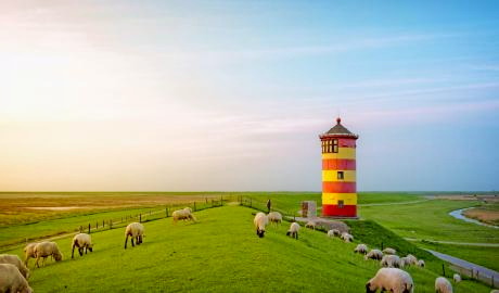 Urlaub Deutschland Reisen - Ostfriesland – das Tor zur Nordsee