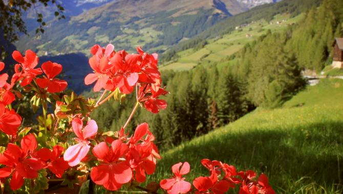 Urlaub Österreich Reisen - Rundfahrt durchs Berchtesgadener und Salzburger Land